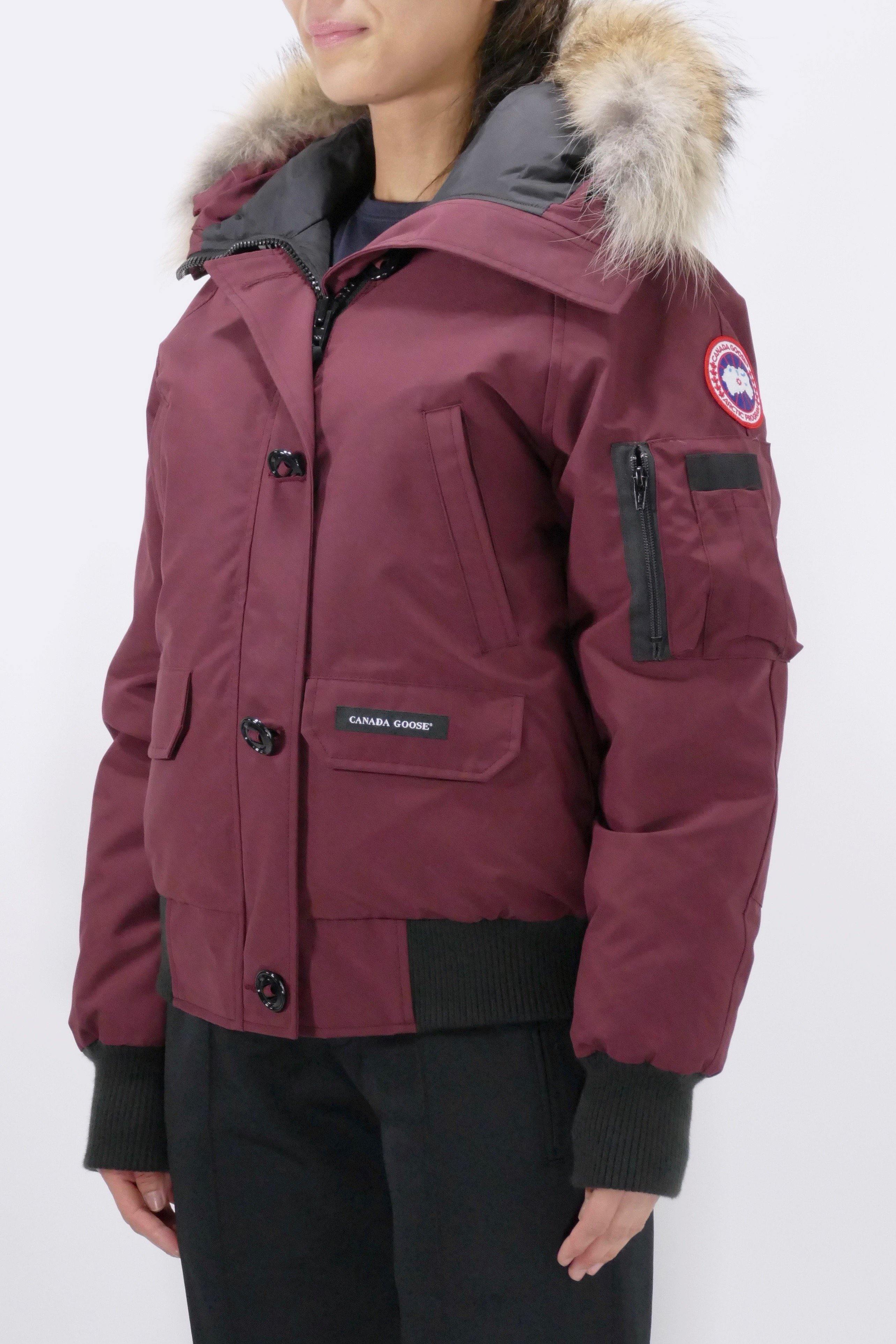 Canada Goose Womens Bomber Chilliwack - Elderberry - Image 3